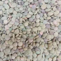 خوردن واشامیدن