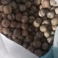 خشک بار