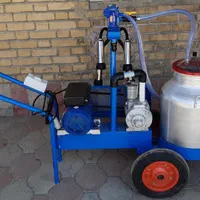 بزدوش و گاو و گوسفند و شیردوش