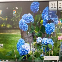 موس هدفون مانیتور۱۹|قطعات و لوازم جانبی رایانه|بیرجند, |دیوار