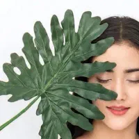 سالن زیبایی شیکشو