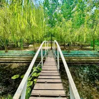 مشاوره آزمون های حقوقی