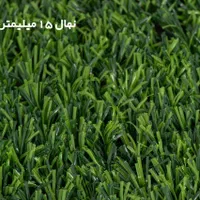 چمن مصنوعی نصب و فروش|گل مصنوعی|بندرعباس, |دیوار