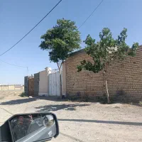 زمین  پردیس 19