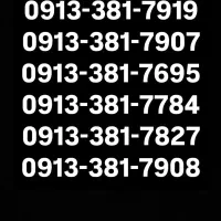 0913-381-7919