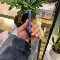 iphone 13promax کارکرده پک اصلی تکسیم|موبایل|تهران, دهقان|دیوار