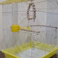 قفس