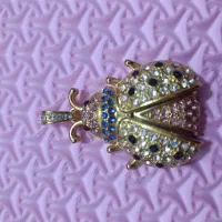 فلش مخفی طرح کفشدوزک تزئینی