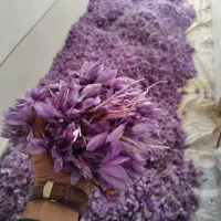 نگین اتویی درجه ۱