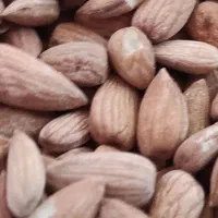 مغز الوک تلخ
