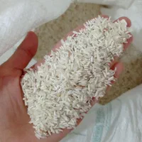 لاشه فجرنودروزه