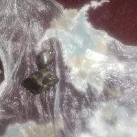 سنگ شهاب سنگ اصل تضمینی