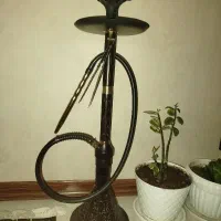 قلیون لایون کینگ