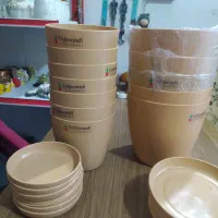 گلدان گل پونه