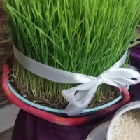 فروش کاه کیلویی ۱۸