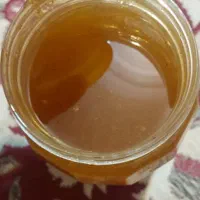 عسل کنار خالص یک تن ۳۹۰|خوردنی و آشامیدنی|شیراز, زیباشهر|دیوار