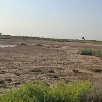 زمین-کشاورزی