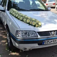 پایه گل|گل و گیاه طبیعی|مشهد, امیر|دیوار