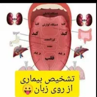 درمان با دمنوش های گیاهی