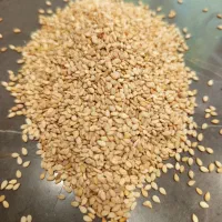 کنجد کرم دبل سورت پاکستانی