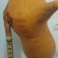 فروش دو عدد نی انبان