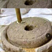 بلغور