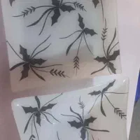 سینی چای خوری .دوتاکاسه میوه خوری بزرگ|ظروف سرو و پذیرایی|مرودشت, ثبت احوال|دیوار