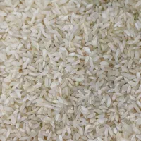 فروش برنج چمپا