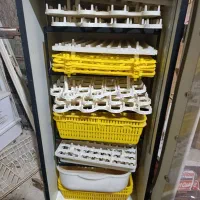 وسایل حیوانات|لوازم جانبی حیوانات|چمران, |دیوار