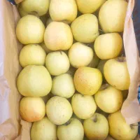 سیب|خوردنی و آشامیدنی|صفائیه, |دیوار