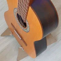 گیتار حرفه ای برای آموزش