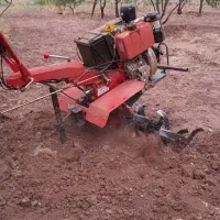 شخم و خدمات باغداری نمونه|خدمات باغبانی و درختکاری|محمدیه-قزوین, |دیوار