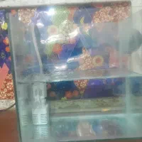 شیشه آکواریوم و دستگاه اکسیژن
