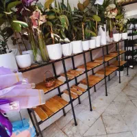 شاخک چوب بست ورق ۳ قفسه رگال میز