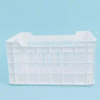 سبد لبه دار (ابهری)