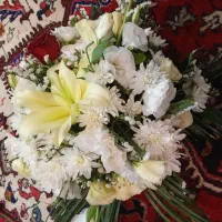 گل طبیعی مجلسی سالم|گل و گیاه طبیعی|تبریز, |دیوار