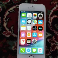 آیفون ۵sدرحدخشک|موبایل|خاش, |دیوار