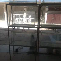 فوری۵۰۰ ت آکواریوم|ماهی|گلپایگان, |دیوار