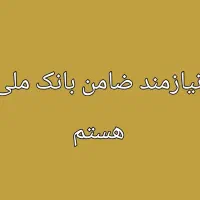 ضامن میخوام|خدمات مالی، حسابداری، بیمه|کرج, کوی امامیه|دیوار