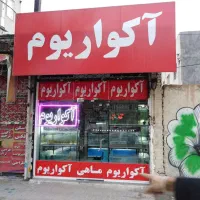 واگذاری وفروش لوازم اکواریم صفرتاصد کامل یکجا|ماهی|مشهد, شهرک رازی (شهرک غرب)|دیوار