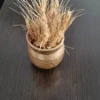 عکاس خانم شهرک آزادی