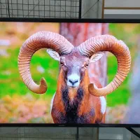 تلویزیون ۴۰ سامسونگ|تلویزیون و پروژکتور|اسلام‌شهر, شهرک احمدیه|دیوار