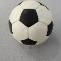 توپ چمن و سالن