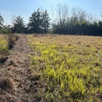 فروش مزرعه مکانیزه بر خیابان