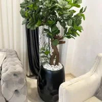 درختچه مصنوعی|گل مصنوعی|تبریز, |دیوار