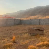 زمین|فروش زمین و ملک کلنگی|صوفیان, |دیوار