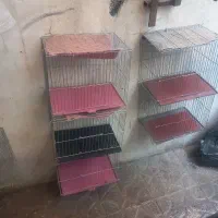 ۱۱عدد قفس سایز کوچک پرنده نو و سالم یکجا