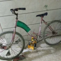 دوچرخه درهندیجان