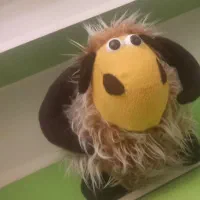 دو عدد عروسک|اسباببازی بچه|میانه, |دیوار