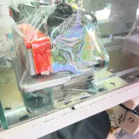 سردوز سبز خانگی